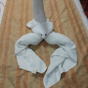 Meet your Posher, Jay